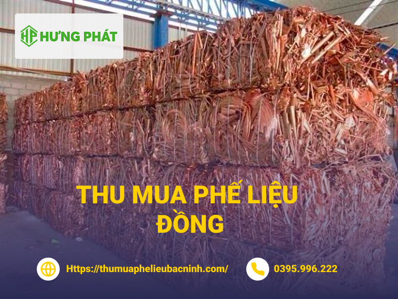 Thu mua giấy phế liệu